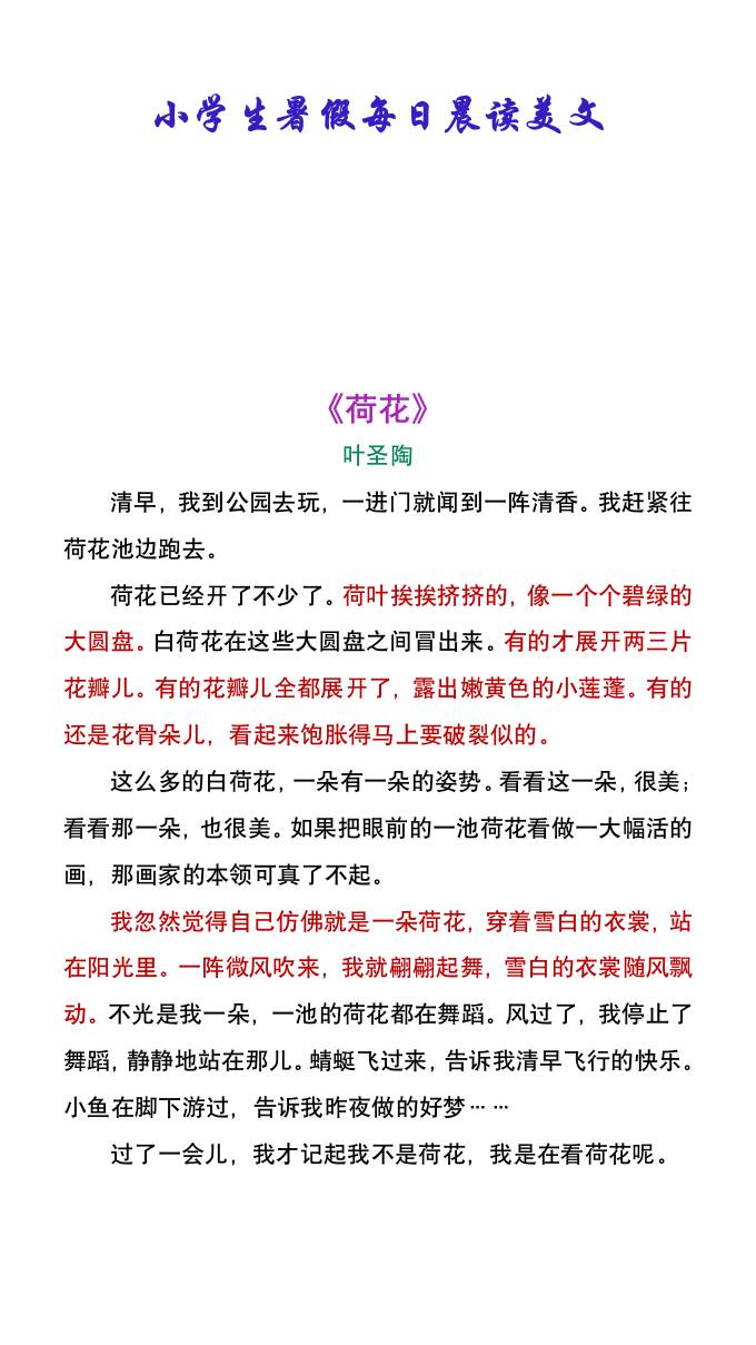 小学生暑假每日晨读美文：叶圣陶《荷花》-小升初语文-墨痕学科