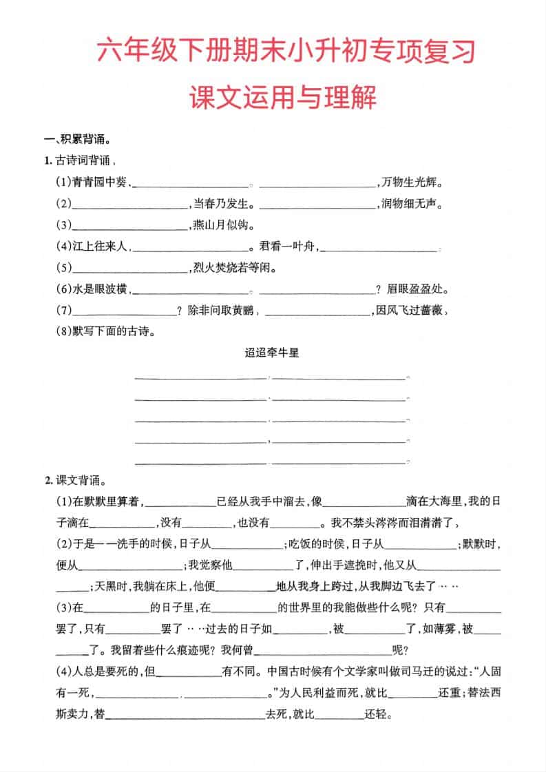 六年级下语文小升初课文运用与理解专项练习-墨痕学科